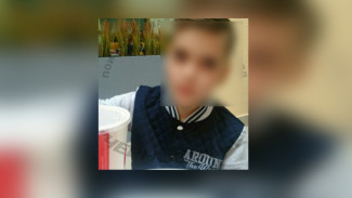 В Воронеже после ссоры с братом пропал 12-летний школьник