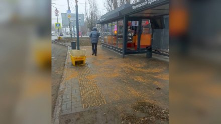 В Воронеже начали обрабатывать тротуары пескосмесью