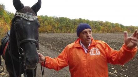 «Вечный» глава района Воронежской области снова переизбрался после 34 лет у власти