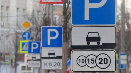 Президент узаконил штрафы за платные парковки в Воронеже