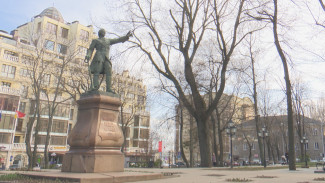 В Воронеже памятник Петру I передадут в муниципальную собственность