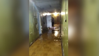 Воронежцы показали на видео жуткий потоп в общежитии