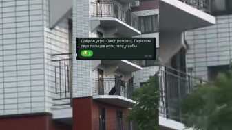 В Воронеже подростки распылили перцовый баллончик в лицо пенсионеру