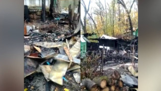 Появилось видео с пепелища в посёлке Рыбачий под Воронежем