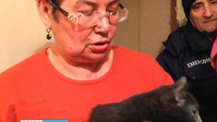 Кота, застрявшего в вентиляции несколько дней назад, удалось спасти