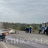 Водитель грузовика влетел в стадо коров в Таловском районе