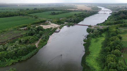 В воронежском Дону нашли холерный вибрион