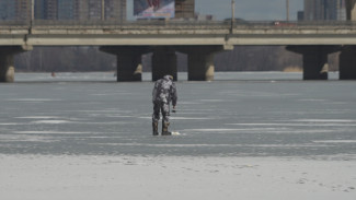 Четыре человека утонули под опасно тонким льдом в Воронежской области