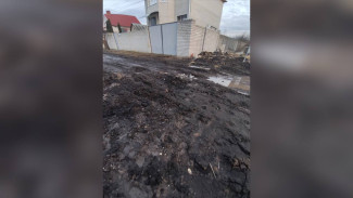 Жители самого красивого воронежского села-2020 показали на видео непроходимую дорогу