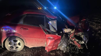 Пенсионер умер после лобового столкновения с фурой на трассе Курск – Воронеж