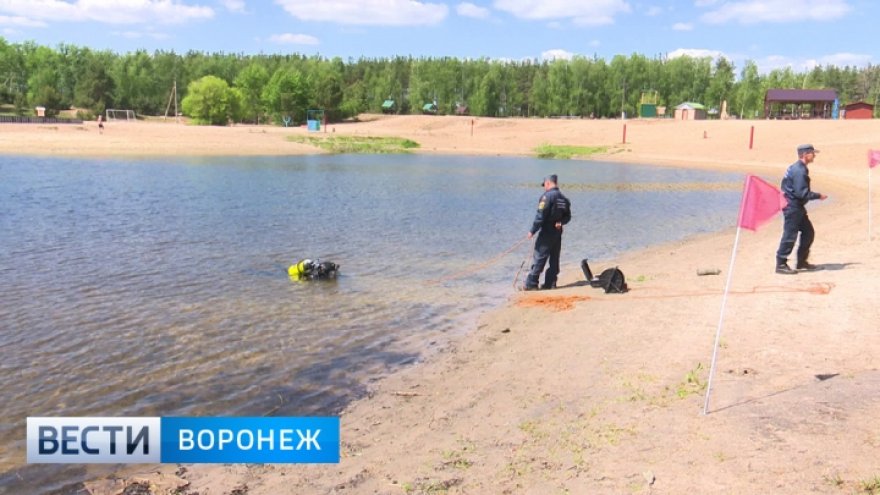 Парковка у воронежского пляжа «Боровое» вновь стала платной