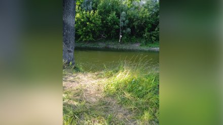 В Воронежской области 17-летний подросток утонул в реке после прыжков с тарзанки