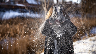 Морозы до -4 и снег с дождём спрогнозировали воронежские синоптики