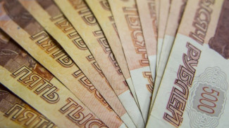 Под Воронежем лжеправнучка украла у пенсионерки 530 тыс. рублей
