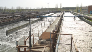 Почти готов. Как чудо-цех избавит воронежцев от непобедимой вони ЛОСов