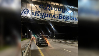 Под Воронежем 19-летний водитель Toyota насмерть сбил человека на трассе