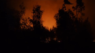 Причиной 3-дневного пожара в Ямном под Воронежем мог стать поджог