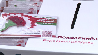 В Воронежской области проходит благотворительная акция «‎Красная гвоздика»‎