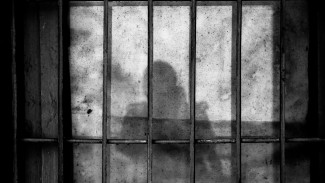 Заведующую воронежским ветеринарным участком отправили в колонию на 8 лет за коррупцию