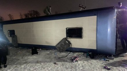 На воронежской трассе опрокинулся автобус с пассажирами из Донецка: есть пострадавшие