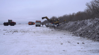 Погода не дала воронежским аграриями убрать урожай почти с 70 тыс. га