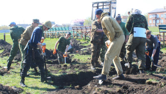 В Воронежской области нашли останки экипажа рухнувшего самолёта