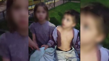 Глава СК заинтересовался скандалом с истязанием детей в Воронеже