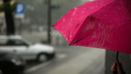Затяжные дожди нагрянут в Воронеж