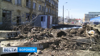 Власти Воронежа начали поиск проектировщика для территории экскаваторного завода