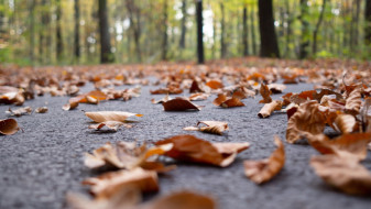 Температура в Воронеже побила рекорд 23-летней давности