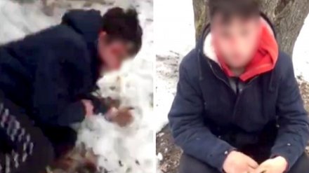 Полиция назвала инсценировкой самосуд над школьником, избившим деда в Воронеже