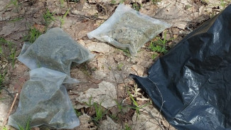 В Воронежском заповеднике нашли закладку с наркотиками 