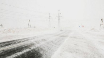 Воронежских автомобилистов предупредили о метели и гололёде