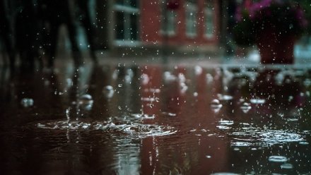 35 красивых фотографий весеннего дождя.