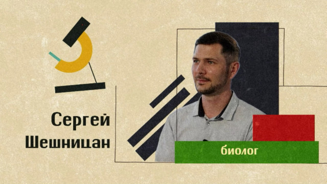 Воронежский учёный рассказал, какие леса смогут спасти планету 