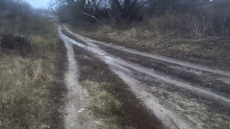 «В школу едем на тракторе». Воронежцы пожаловались на убитую дорогу в хохольском селе