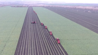 Осенняя уборочная кампания в Воронеже вышла на финальную стадию