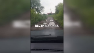 В школу – по грязи. Жители Эртиля пожаловались на непроходимые дороги