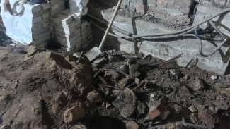 В Воронеже найденные на предприятии Роскосмоса кости оказались свиными