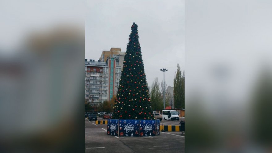 В Воронеже установили первую новогоднюю ёлку