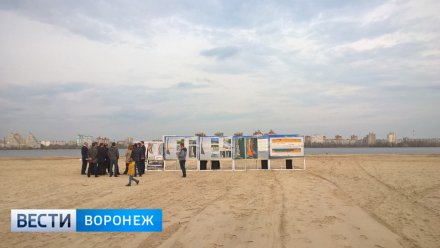 Для разработки концепции Петровской набережной в Воронеже объявят международный конкурс