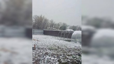 Снег выпал в Воронежской области в начале апреля