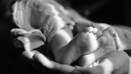 Главе СК доложат о расследовании гибели новорождённой девочки в воронежском селе