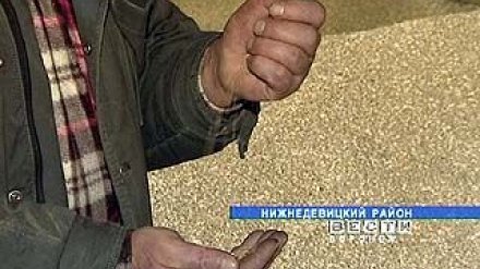 Сборы урожая зерновых в Воронежской области приближаются к 4 миллионам тонн