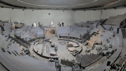 Какой будет арена в Воронежском цирке