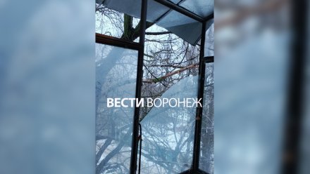 Ветки пробили окна балкона в воронежской 5-этажке