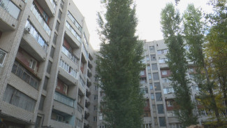 Жильцы четырёх воронежских многоэтажек на 2 недели остались без холодной воды