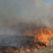 Чрезвычайная пожарная опасность установилась в Воронежской области