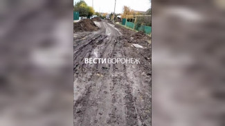 Жителей улицы в воронежском посёлке на месяц оставили без воды