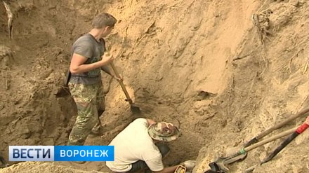 Воронежские поисковики нарушили закон при передаче властям останков 169 солдат 